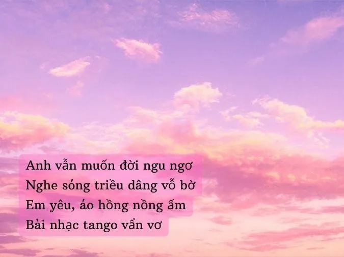 Thơ về màu hồng dành cho những trái tim lãng mạn 1