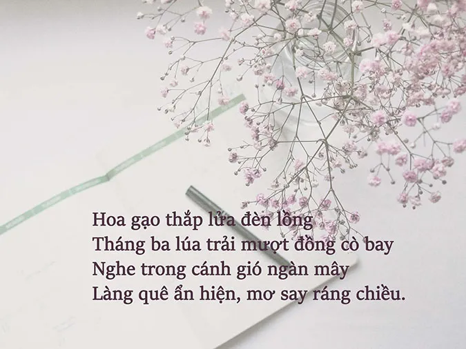 Chùm thơ tháng 3 hay theo chủ đề