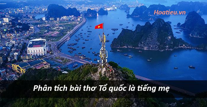 Phân tích bài Tổ quốc là tiếng mẹ hay