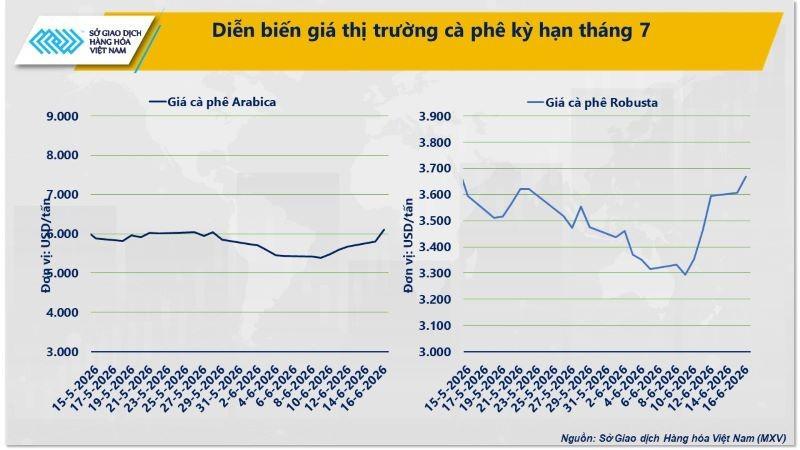 Giá dầu lao dốc kéo MXV-Index giảm, cà-phê nối dài đà tăng