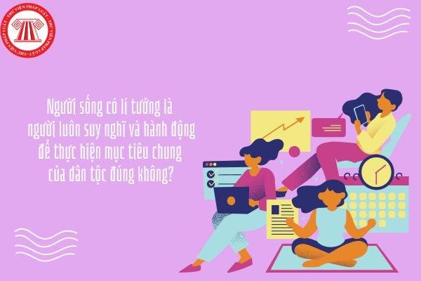 https://cdn.melodious.edu.vn/wp-content/uploads/2026/07/co-li-1.jpg