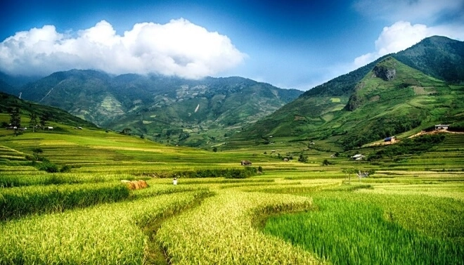 Đất khai hoang là gì