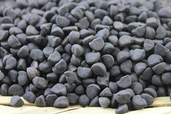 Vị thuốc Khiên ngưu
