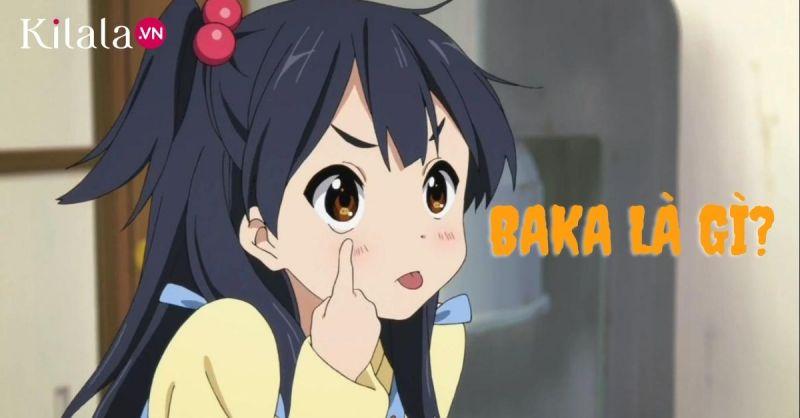 Nguồn gốc của từ baka.
