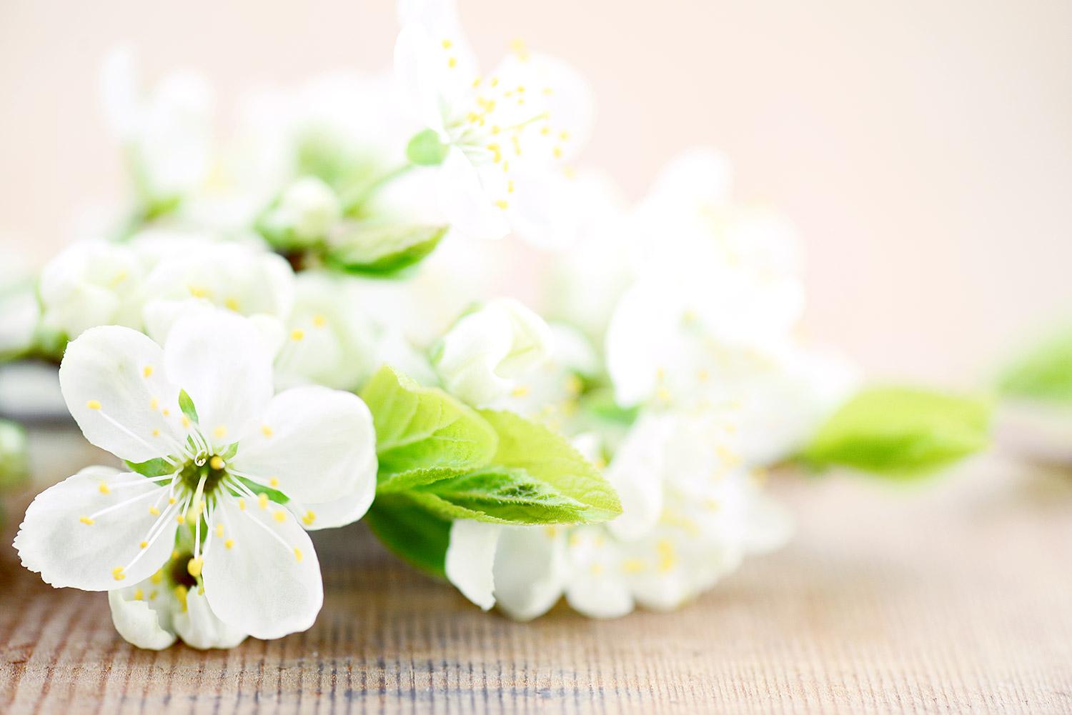 Phụng sự được phước lành trong lẽ thật