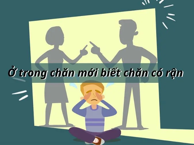 Giải thích câu tục ngữ ‘Ở trong chăn mới biết chăn có rận’ 1