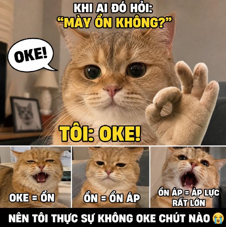 Biểu cảm này nói ok, nhưng năng lượng thì muốn đăng xuất luôn
