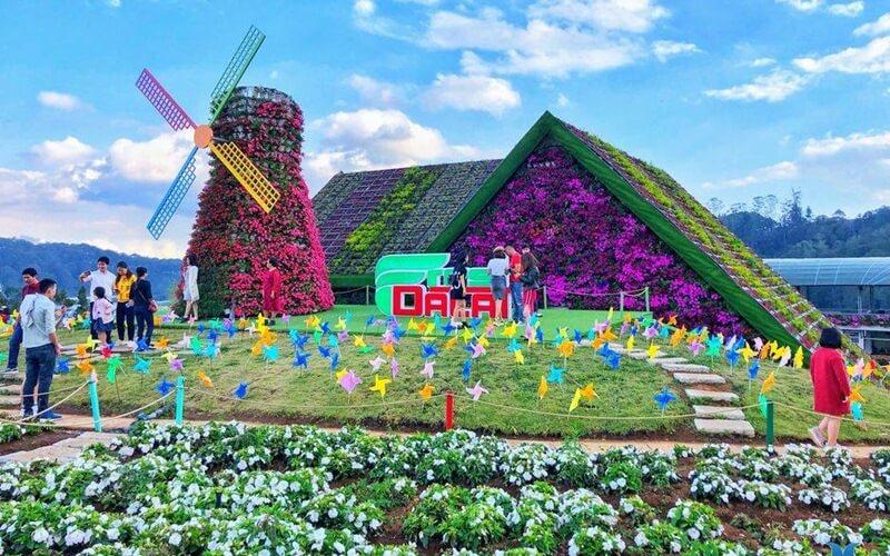 Caption thả thính khi đi du lịch Đà Lạt