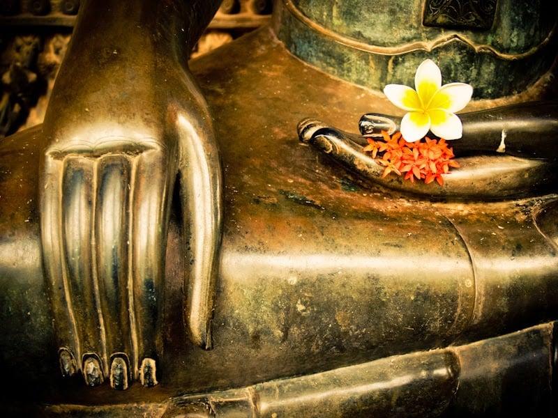 Chết có phải là hết không? 1