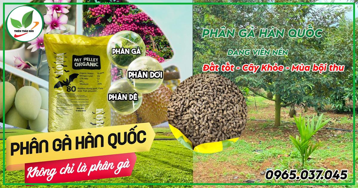 Phân gà nở hàn quốc