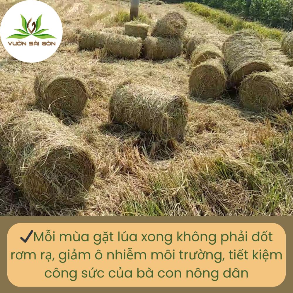 Rom Cuon Kho (3)