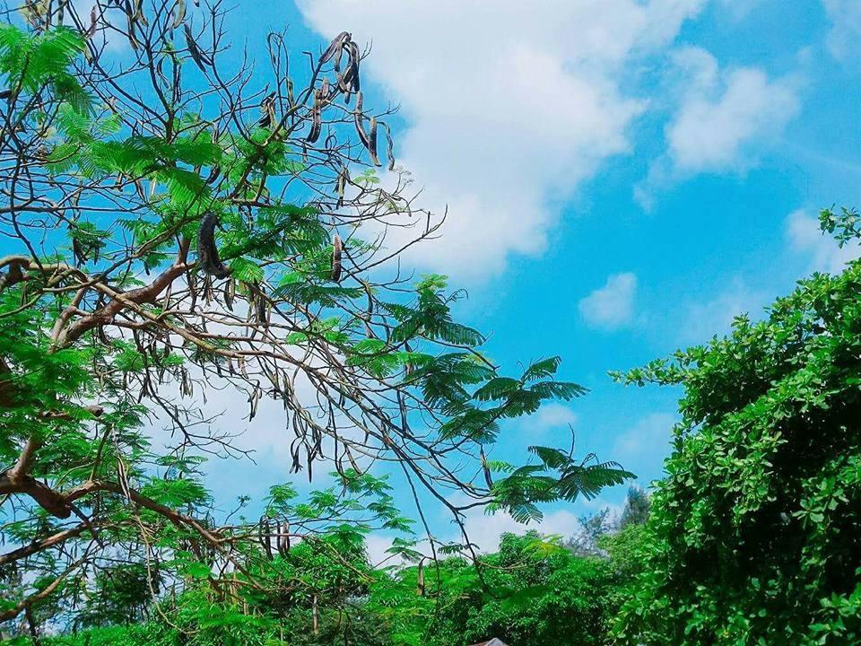 Cả khoảng trời vô tư, hồn nhiên cứ thế ăm ắp kỉ niệm mỗi lần nghĩ về (Ảnh minh hoạ)