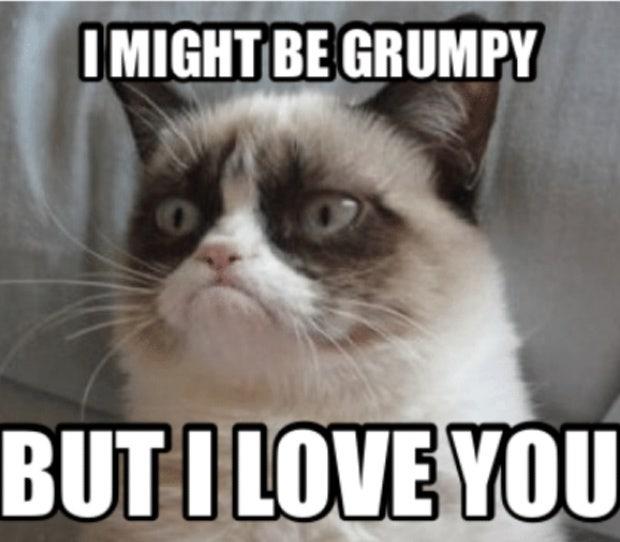 The 100 Best 'I Love You' Memes That Are Cute, Funny & Romantic All At The Same Time