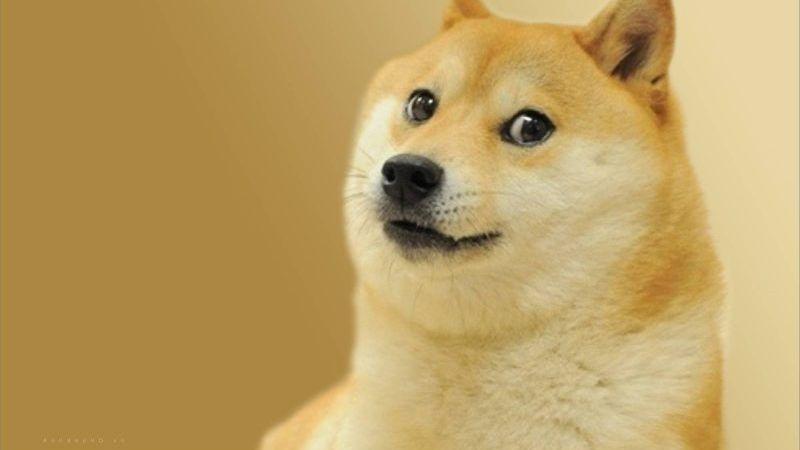 Meme Haha – Ảnh Chế Biểu Cảm Cười Haha Hài Hước Hot ?