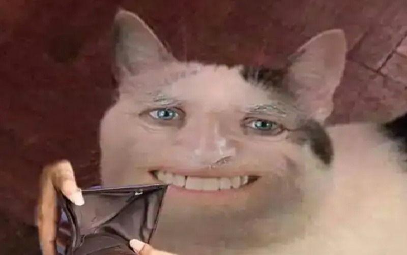 Tìm hiểu meme cười đểu