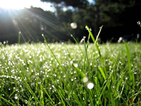 VIỆN SỐT RÉT - KÝ SINH TRÙNG - CÔN TRÙNG QUY NHƠN