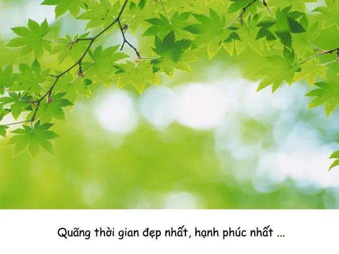 thanh-xuan-la-gi-voh-1
