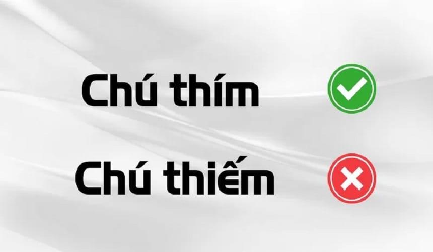 Chú thiếm hay chú thím đúng/Cách sử dụng tiếng Việt hiệu quả