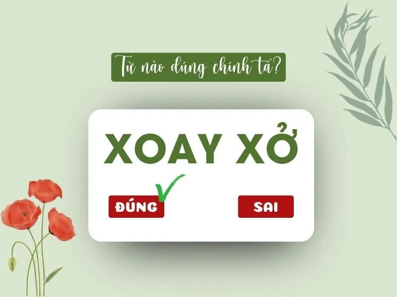 voh-xoay-so-hay-xoay-xo-1