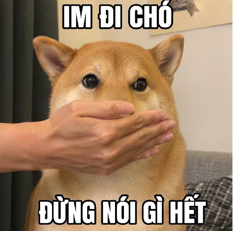 Im lặng là vàng, nhất là khi sắp lỡ lời.