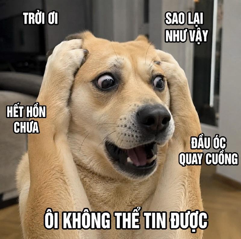 Cố Gắng Bình Tĩnh Nhưng Não Bộ Đã Từ Chối Hoạt Động.