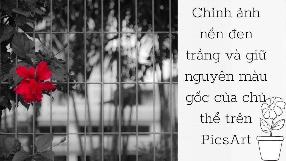 Phông nền tương phản đen - trắng khiến chủ thể nổi bật hơn bao giờ hết, dân sống ảo nhất định phải thử!
