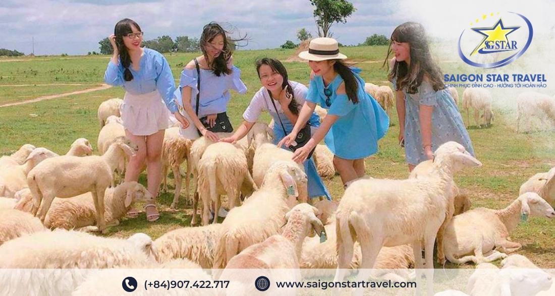 Đồi Cừu Suối Nghệ - Tour Vũng Tàu 1 ngày