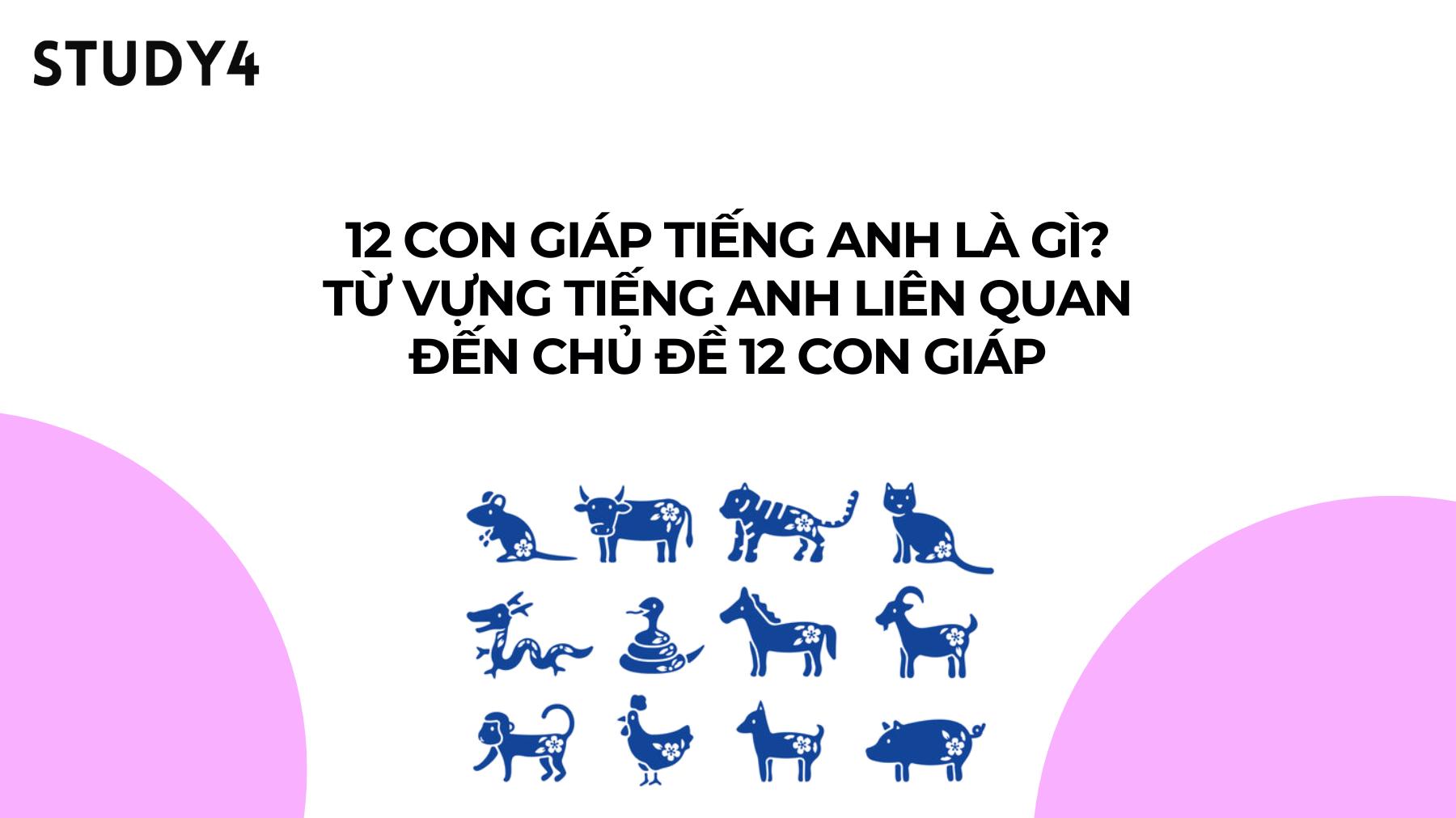 12 con giáp tiếng Anh là gì? Từ vựng tiếng Anh liên quan đến chủ đề 12 con giáp