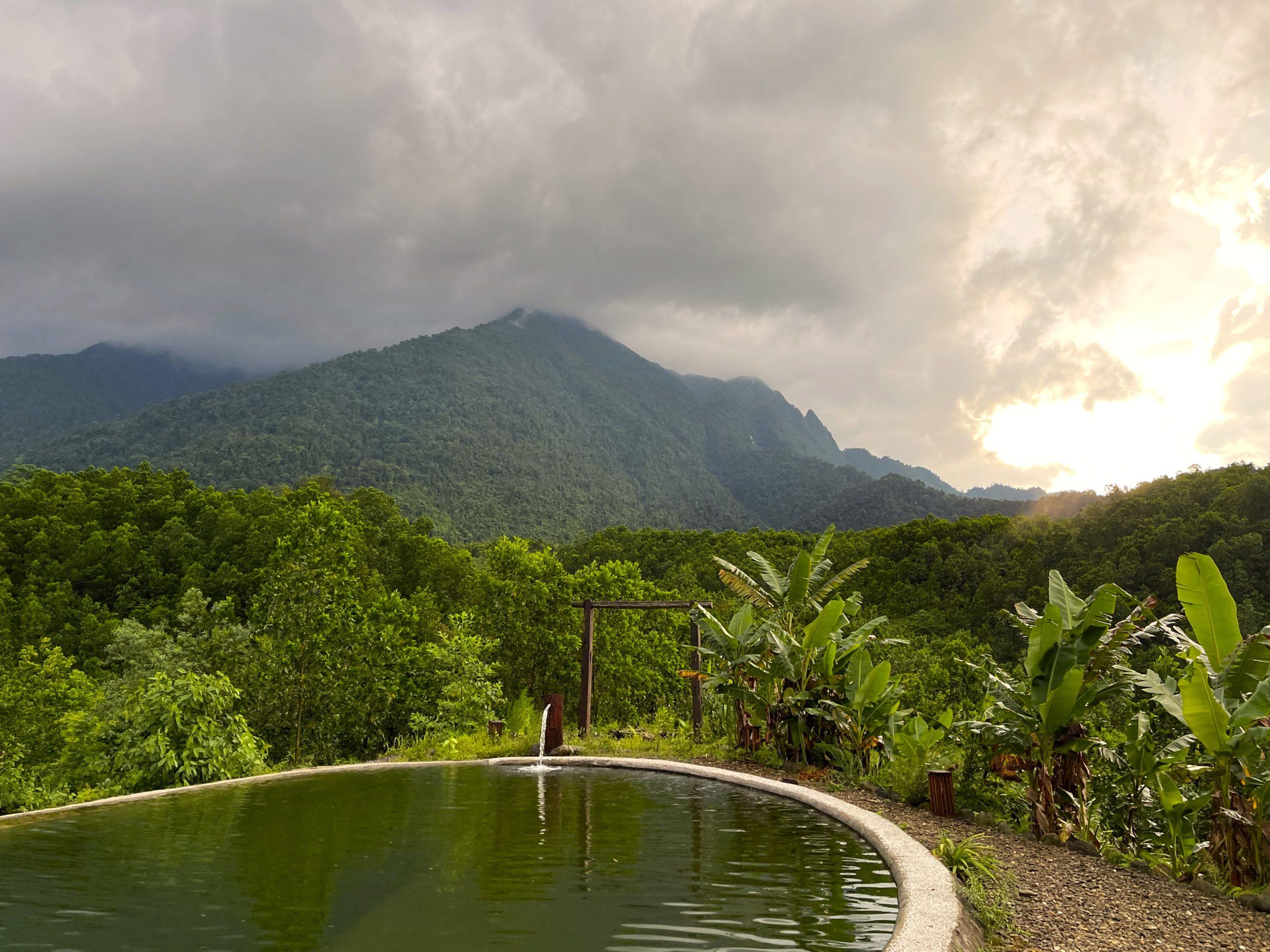 Đom Đóm Farm, Independent Review, Thái Nguyên, Vietnam