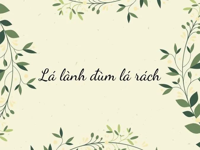 Giải thích câu tục ngữ ‘Lá lành đùm lá rách’ nghĩa là gì? 1
