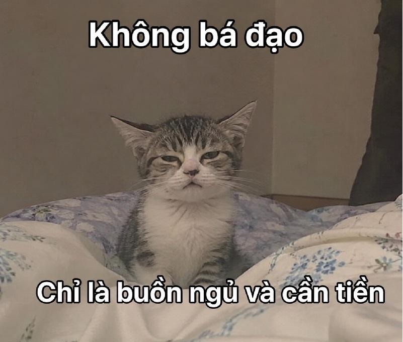 Lúc Bị Hỏi Đến Chuyện Riêng Tư Và Muốn Đánh Trống Lảng.