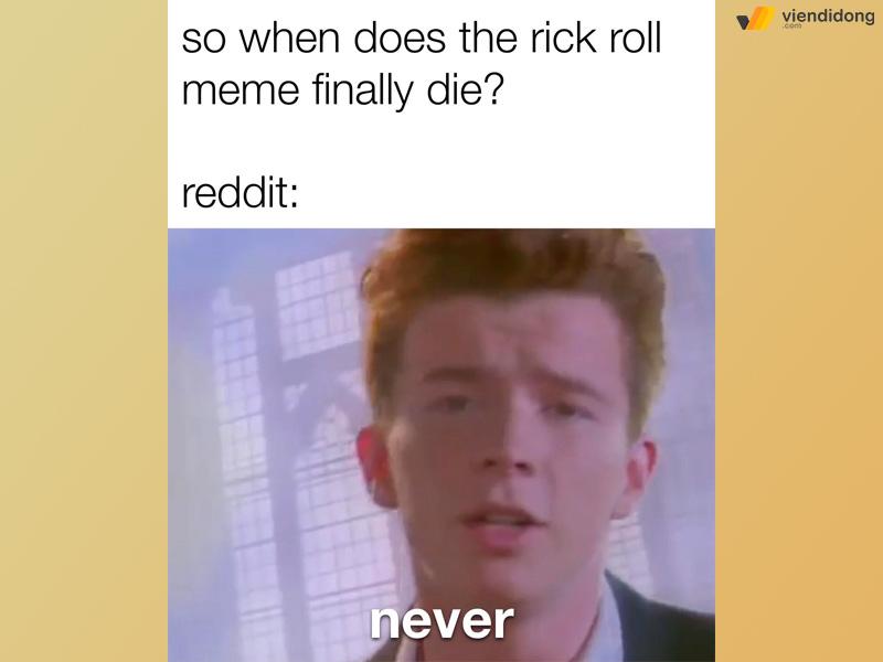 tạo meme là gì