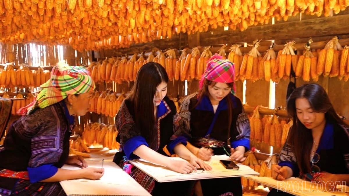 baolaocai-br_z7374664700123-f3088cd7de9e83b60e4b10853cb41a6f-9692.jpg