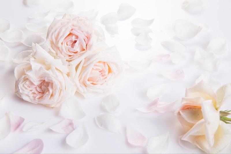 status valentine trắng lãng mạn