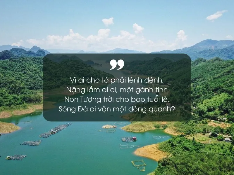 18 bài thơ về Hòa Bình hay, ý nghĩa và đặc sắc nhất 1