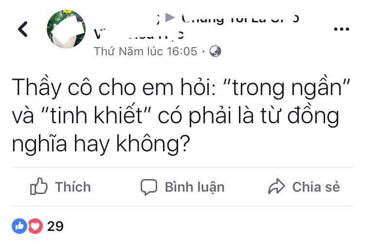 dongnghia 5