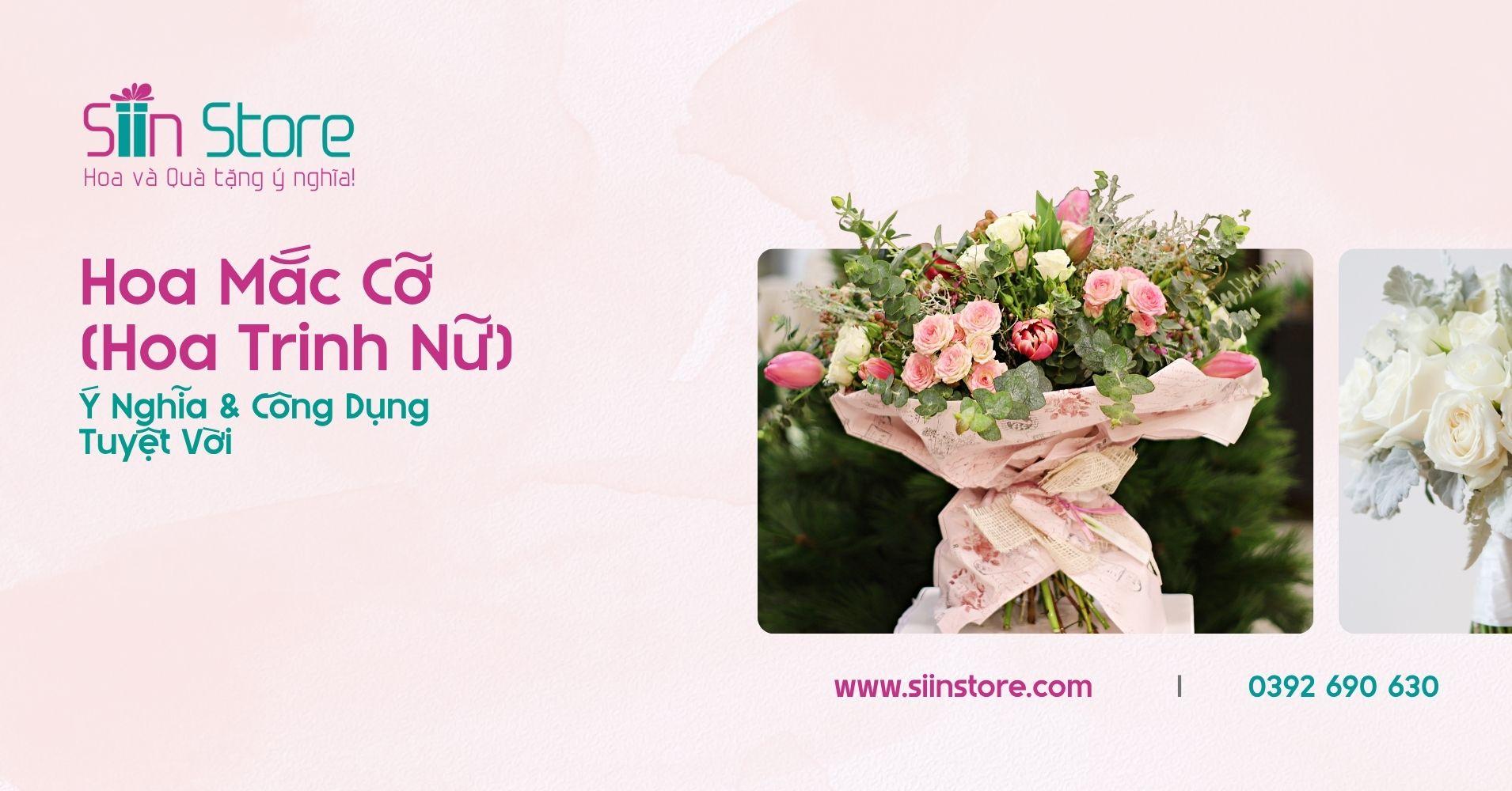 hoa mắc cỡ