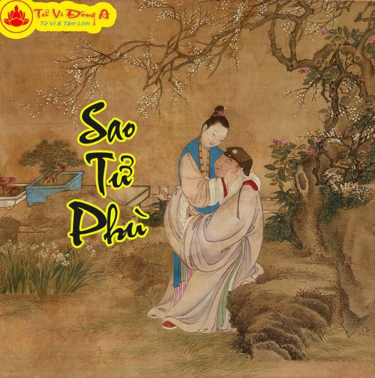 Sao Tử Phù - Ý Nghĩa Tại Mệnh Và Cung Khác Trong Tử Vi